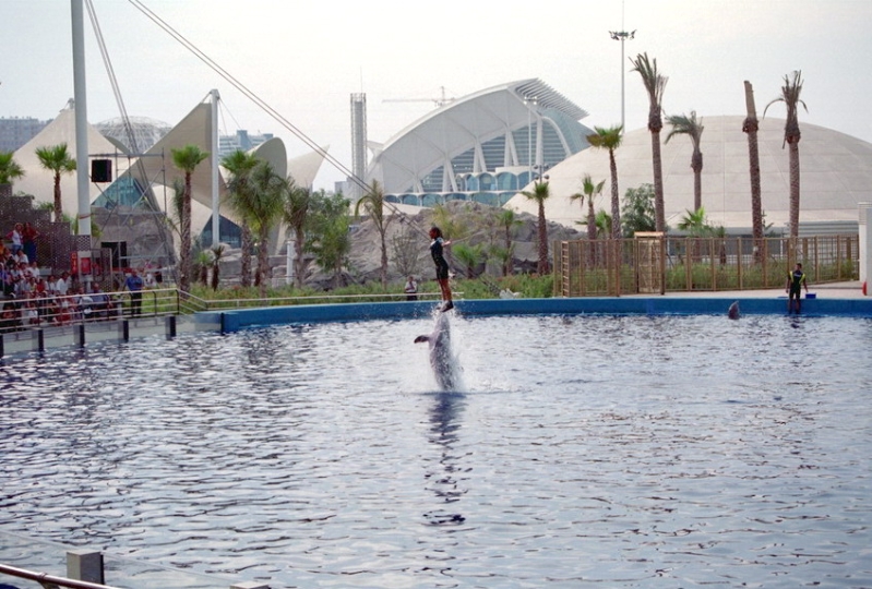 Valencia1105.jpg