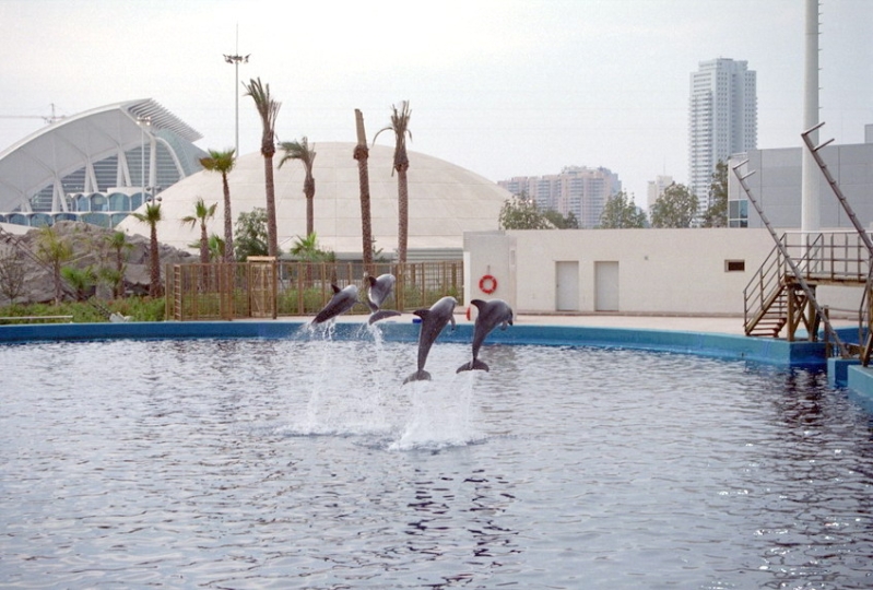 Valencia1202.jpg