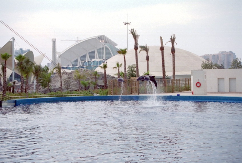 Valencia1203.jpg