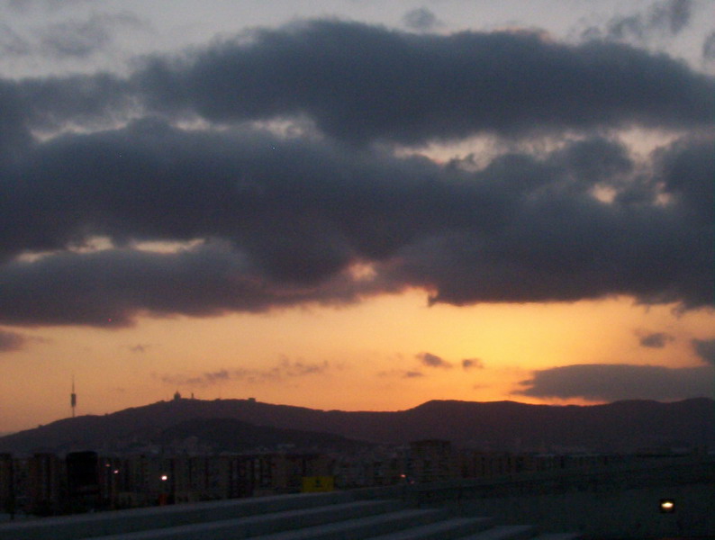 Forum de las Culturas 2004
