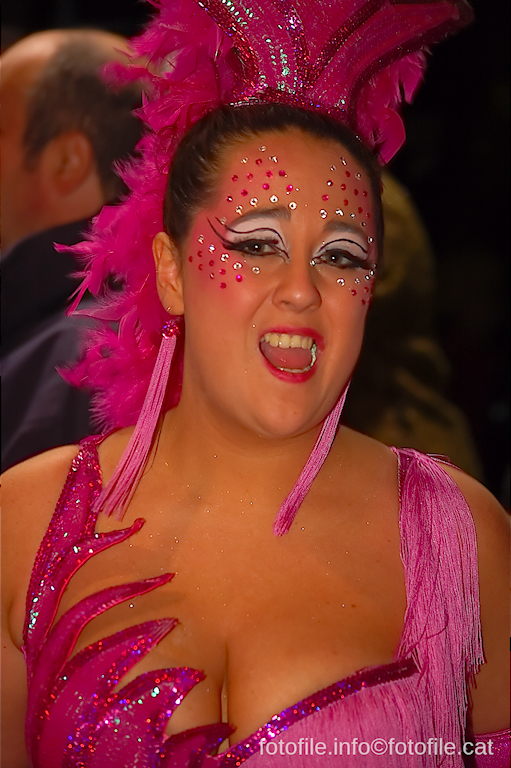 Carnaval 2014 Sitges - Rua de l'Extermini
Carnaval 2014 Sitges - Rua de l'Extermini
