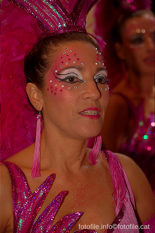 Carnaval 2014 Sitges - Rua de l'Extermini
Carnaval 2014 Sitges - Rua de l'Extermini
