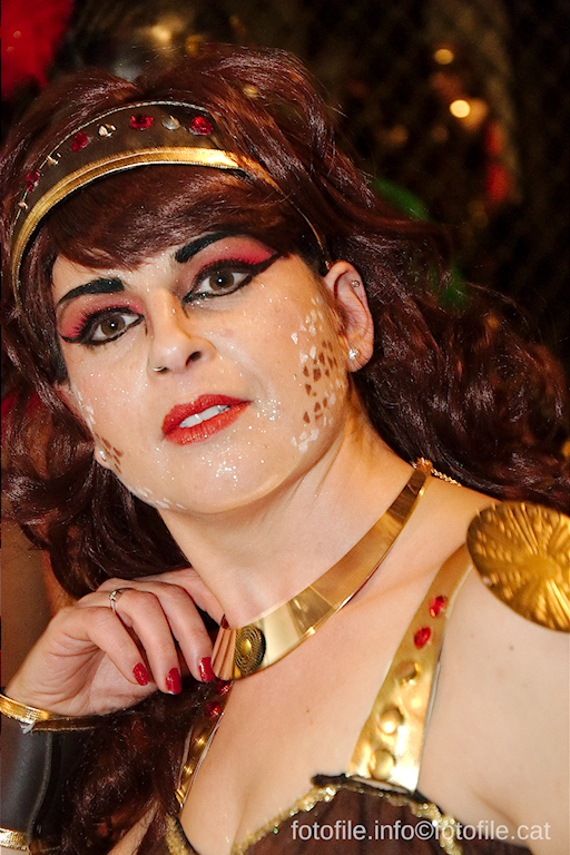 Carnaval 2015 Sitges - Rua de l'Extermini
Carnaval 2015 Sitges - Rua de l'Extermini
Keywords: Carnaval 2015 Sitges - Rua de l'Extermini