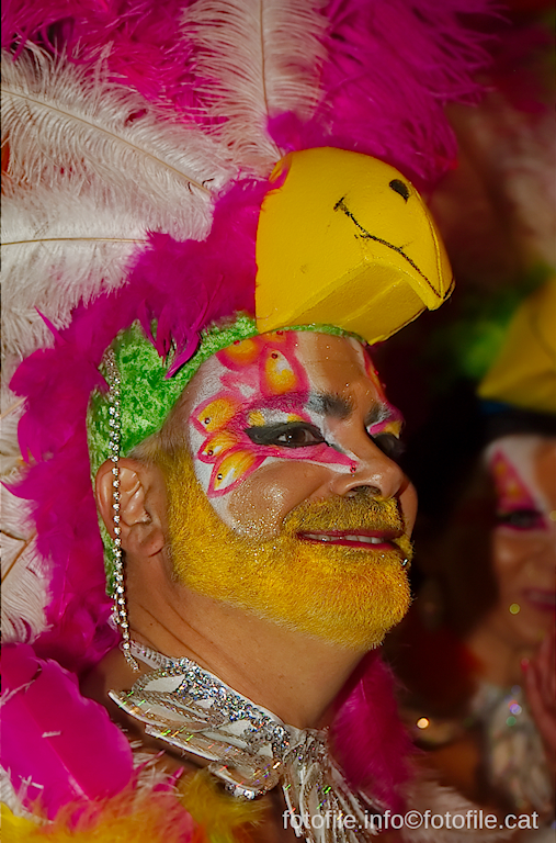 Carnaval 2015 Sitges - Rua de l'Extermini
Carnaval 2015 Sitges - Rua de l'Extermini
Keywords: Carnaval 2015 Sitges - Rua de l'Extermini