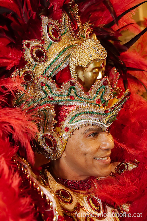 Carnaval 2015 Sitges - Rua de l'Extermini
Carnaval 2015 Sitges - Rua de l'Extermini
Keywords: Carnaval 2015 Sitges - Rua de l'Extermini