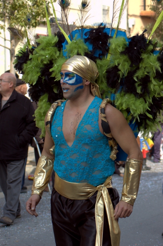 Carnaval 2012 Els Monjos
Carnaval 2012 Els Monjos. Nikon D50.
Keywords: Carnaval 2012 Els Monjos