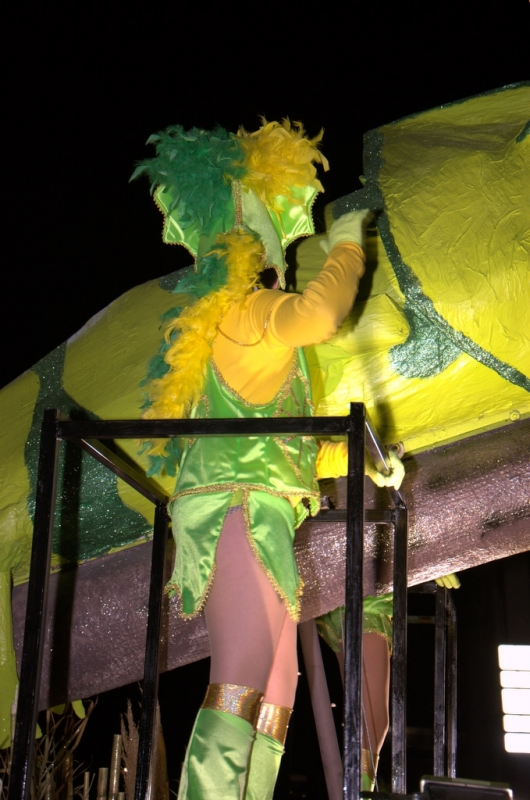 Carnaval 2012 Segur de Calafell
Carnaval 2012 Segur de Calafell. Nikon D50.
Keywords: Carnaval 2012 Segur de Calafell