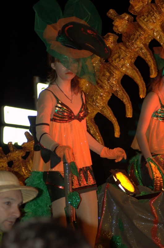 Carnaval 2012 Segur de Calafell
Carnaval 2012 Segur de Calafell. Nikon D50.
Keywords: Carnaval 2012 Segur de Calafell