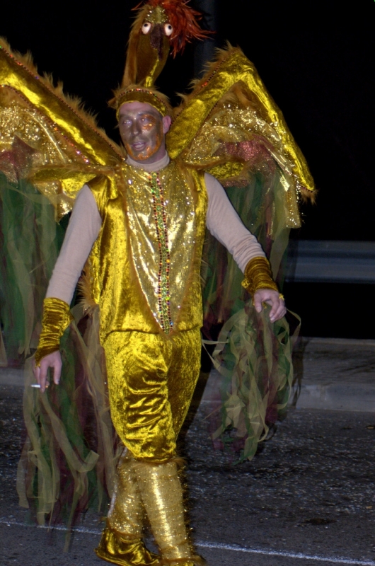 Carnaval 2012 Segur de Calafell
Carnaval 2012 Segur de Calafell. Nikon D50.
Keywords: Carnaval 2012 Segur de Calafell