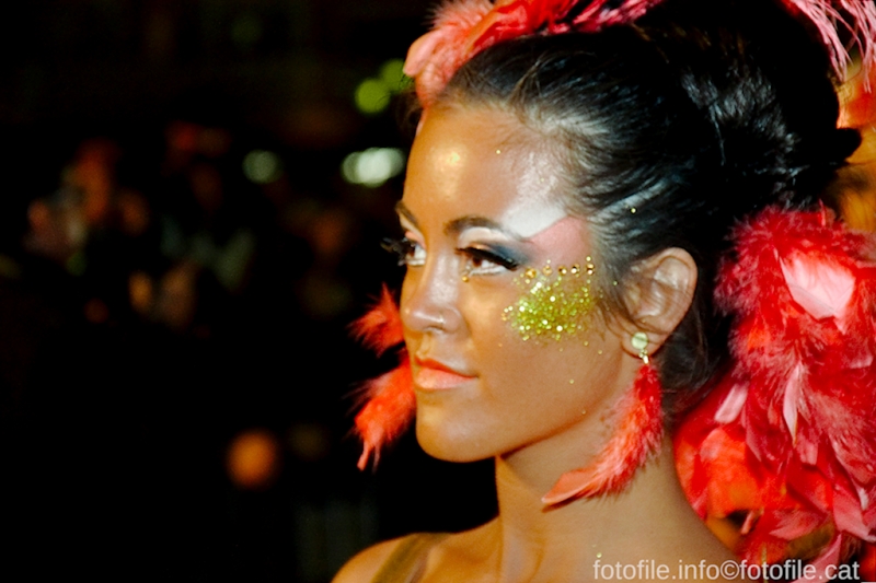 Carnaval Sitges 2013
Carnaval Sitges 2013
Keywords: Carnaval Sitges 2013