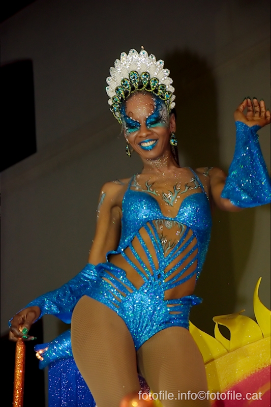 Carnaval 2014 Sitges - Rua de l'Extermini
Carnaval 2014 Sitges - Rua de l'Extermini
Keywords: Carnaval 2014 Sitges - Rua de l'Extermini