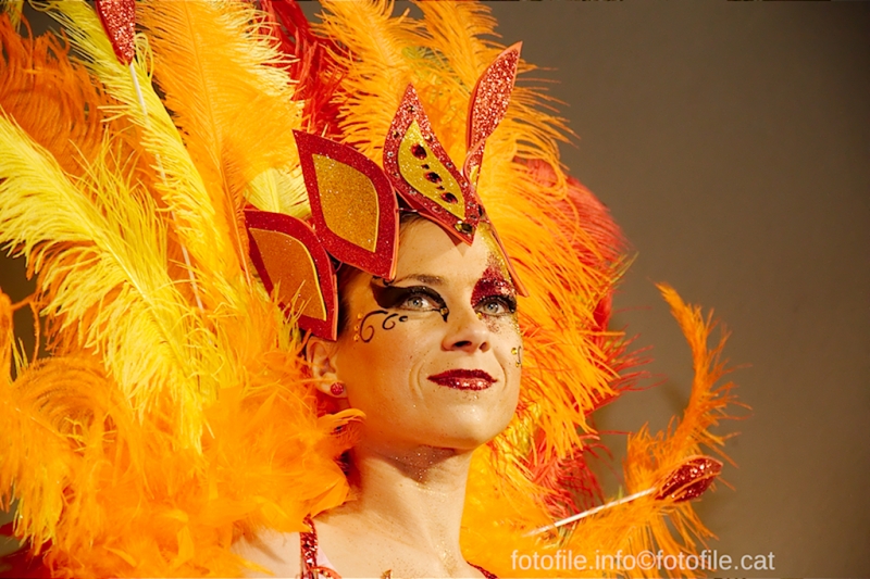 Carnaval 2015 Sitges - Rua de l'Extermini
Carnaval 2015 Sitges - Rua de l'Extermini
Keywords: Carnaval 2015 Sitges - Rua de l'Extermini