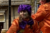 CarnavalMonjos2012_0405.jpg