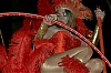 CarnavalSitges2012_1156_.jpg