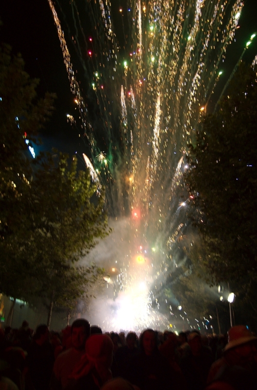 Balldefoc 2009. Vilafranca del Penedes
Imatge del Balldefoc 2009, a Vilafranca del Penedes. Nikon D50 #
Foto del Balldefoc 2009, en Vilafranca del Penedes. #

Keywords: balldefoc 2009 vilafranca