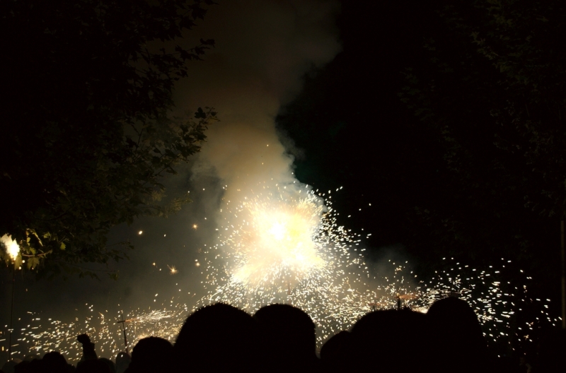 Balldefoc 2009. Vilafranca del Penedes
Imatge del Balldefoc 2009, a Vilafranca del Penedes. Nikon D50 #
Foto del Balldefoc 2009, en Vilafranca del Penedes. #

Keywords: balldefoc 2009 vilafranca