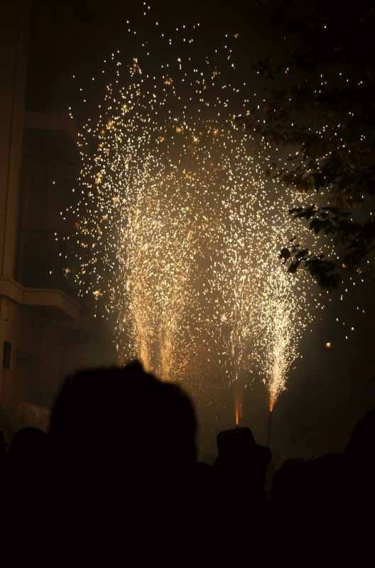 Balldefoc 2009. Vilafranca del Penedes
Imatge del Balldefoc 2009, a Vilafranca del Penedes. Nikon D50 #
Foto del Balldefoc 2009, en Vilafranca del Penedes. #

Keywords: balldefoc 2009 vilafranca