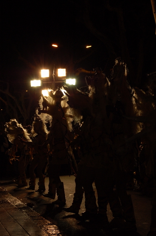 CARNAVAL EL VENDRELL 2010
FOTOS SENSE PROCESSAR
Keywords: CARNAVAL VENDRELL 2010