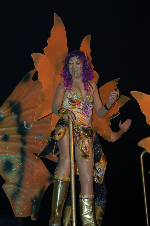 Carnaval 2010 Sitges Rua de l'extermini 
FOTOS SENSE PROCESSAR
Keywords: CARNAVAL SITGES 2010