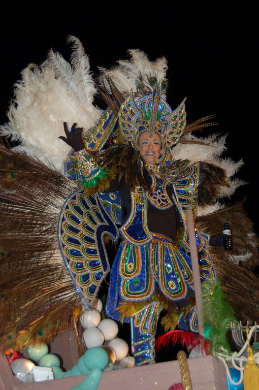 Carnaval 2010 Sitges Rua de l'extermini 
FOTOS SENSE PROCESSAR
Keywords: CARNAVAL SITGES 2010