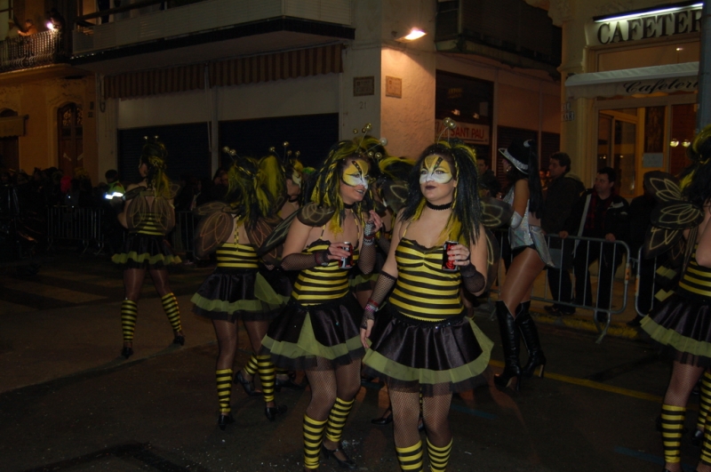 Carnaval 2010 Sitges Rua de l'extermini 
FOTOS SENSE PROCESSAR
Keywords: CARNAVAL SITGES 2010