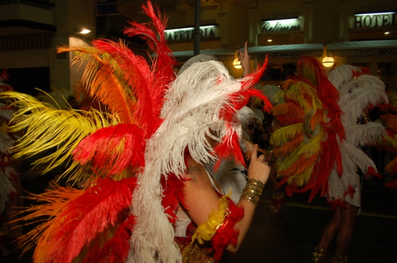 Carnaval 2010 Sitges Rua de l'extermini 
FOTOS SENSE PROCESSAR
Keywords: CARNAVAL SITGES 2010