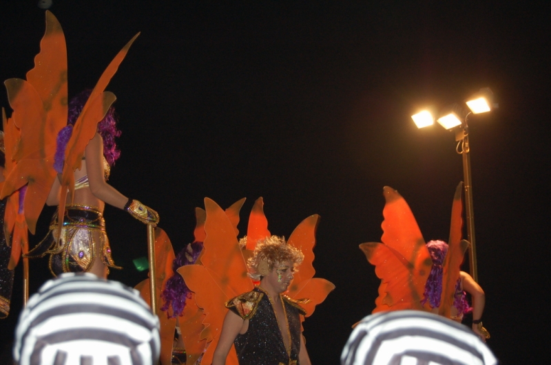 Carnaval 2010 Sitges Rua de l'extermini 
FOTOS SENSE PROCESSAR
Keywords: CARNAVAL SITGES 2010