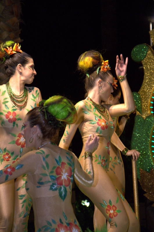 Carnaval Sitges 2011
Keywords: Carnaval Sitges 2011 Extermini