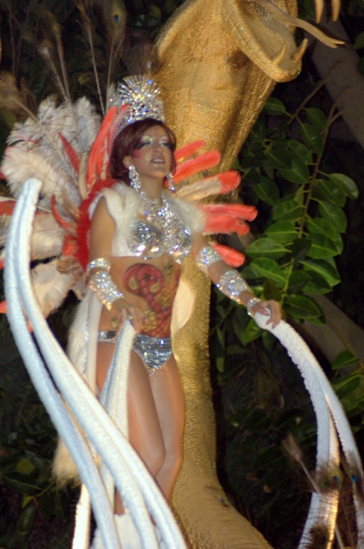 Carnaval Sitges 2011
Keywords: Carnaval Sitges 2011