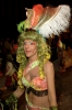 CarnavalVilafranca2011_0232.jpg