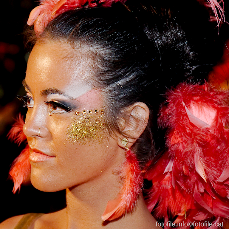 Carnaval Sitges 2013
Carnaval Sitges 2013
Keywords: Carnaval Sitges 2013