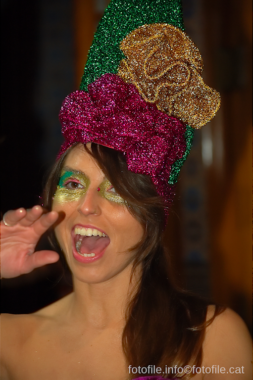 Carnaval 2014 Sitges - Rua de l'Extermini
Carnaval 2014 Sitges - Rua de l'Extermini
