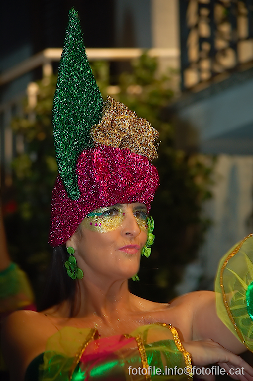 Carnaval 2014 Sitges - Rua de l'Extermini
Carnaval 2014 Sitges - Rua de l'Extermini
