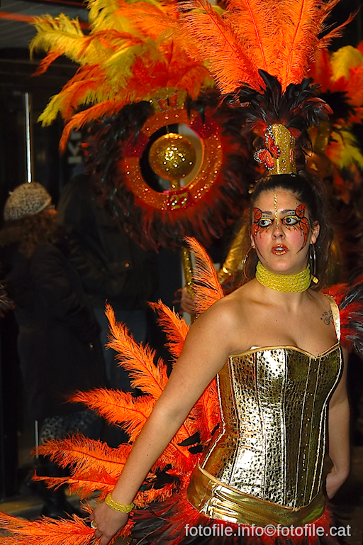 Carnaval 2014 Sitges - Rua de l'Extermini
Carnaval 2014 Sitges - Rua de l'Extermini
Keywords: Carnaval 2014 Sitges - Rua de l'Extermini