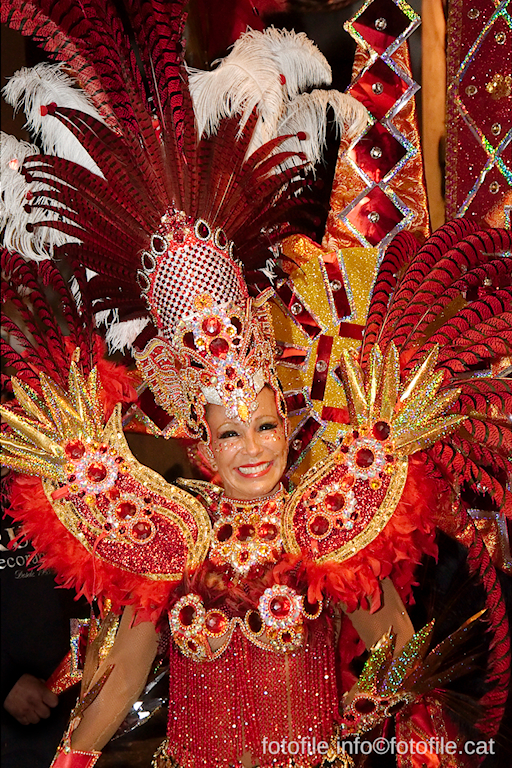 Carnaval 2015 Sitges - Rua de l'Extermini
Carnaval 2015 Sitges - Rua de l'Extermini
Keywords: Carnaval 2015 Sitges - Rua de l'Extermini