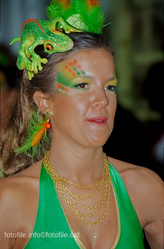 Carnaval 2014 Sitges - Rua de l'Extermini
Carnaval 2014 Sitges - Rua de l'Extermini
Keywords: Carnaval 2014 Sitges - Rua de l'Extermini