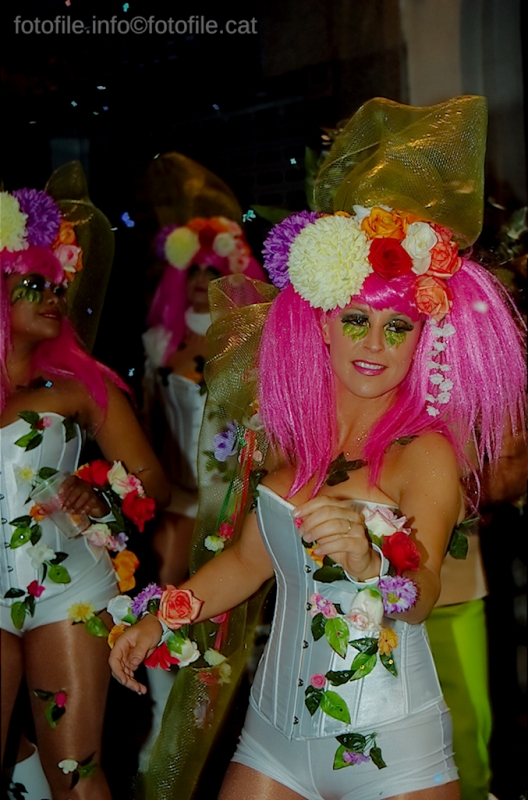 Carnaval 2014 Sitges - Rua de l'Extermini
Carnaval 2014 Sitges - Rua de l'Extermini
Keywords: Carnaval 2014 Sitges - Rua de l'Extermini