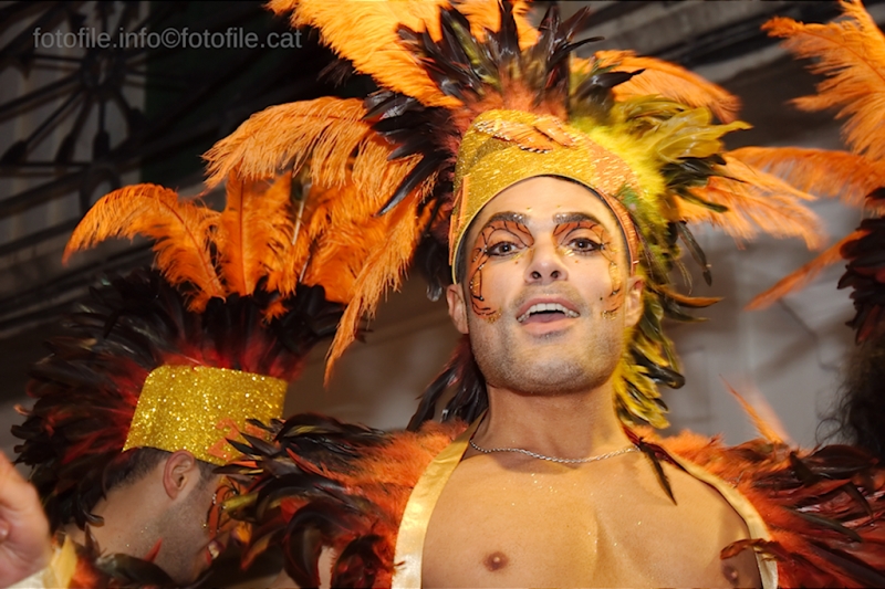 Carnaval 2014 Sitges - Rua de l'Extermini
Carnaval 2014 Sitges - Rua de l'Extermini
Keywords: Carnaval 2014 Sitges - Rua de l'Extermini