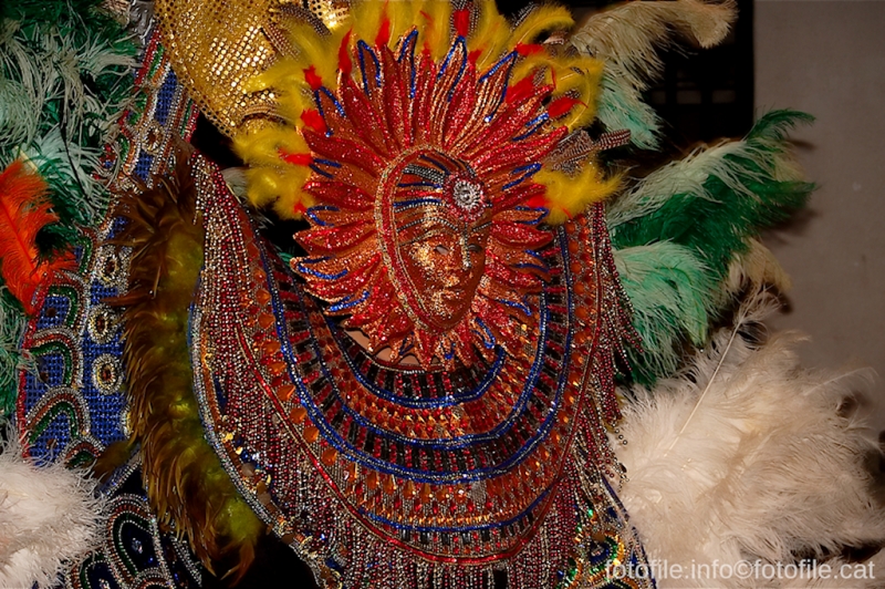 Carnaval 2014 Sitges - Rua de l'Extermini
Carnaval 2014 Sitges - Rua de l'Extermini
Keywords: Carnaval 2014 Sitges - Rua de l'Extermini