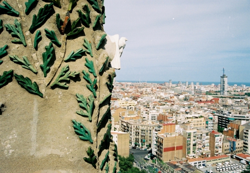 Gaudi - Sagrada Familia
Sagrada Familia. Barcelona 2003. Vistes desde els campanars.  
Keywords: Gaudi Sagrada Familia